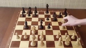 Самый опасный ход в начале партии  Эту ЛОВУШКУ должен знать каждый! Шахматы.