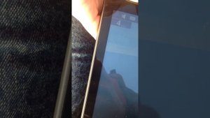 Замер скорости solar 380 + suzuki 9.9(15)