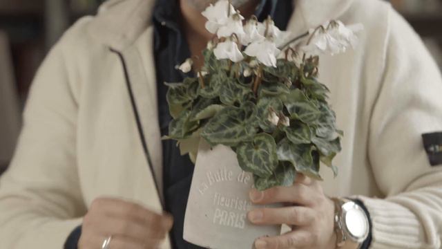 Winters tafereel met cyclamen Super Serie Petticoat смотреть онлайн