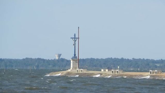 SAMBA ZEN смотреть онлайн