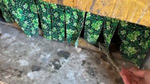 Что делаю на даче Если хотите кур это надо будет делать Куры Индюки Цыплята Огород