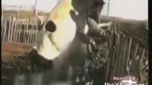 Бык трахает мужика /  bull hamping man