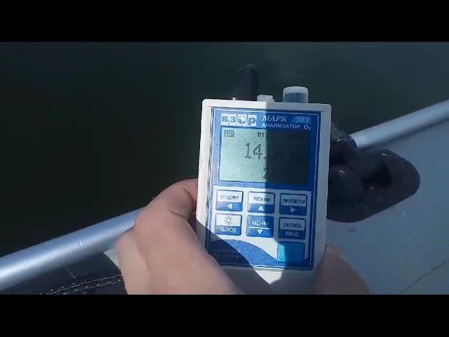 Хлорелла спасла город от зловоний и экологической катастрофы. Кислород 14,5 мг/л смотреть онлайн