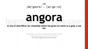 Pronunciation of Angora | Definition of Angora