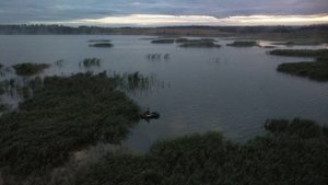 пруд Карамышево Тульская область 2022