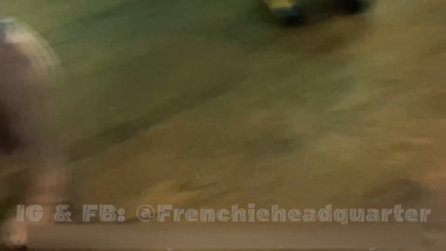 Paws-itively in Love: A Frenchie and English Bulldog Story смотреть онлайн