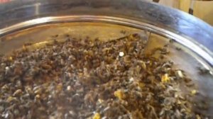 сушка подмора