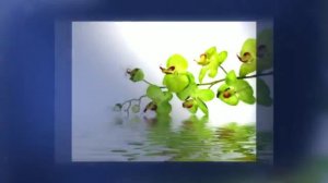 день рождения поздравления мужчине коллеге