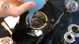 Fiorenzato 64  Чистим кофемолку