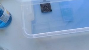 РЕСТАВРАЦИЯ МЕДНОЛИТОЙ ИКОНЫ БОГОМАТЕРЬ ВСЕХ СКОРБЯЩИХ РАДОСТЬ / RESTORATION OF THE COPPER-CAST ICO