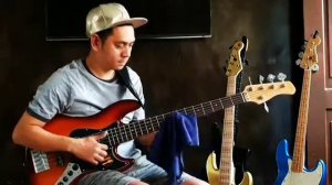 Fender x Sire V3 x Elegee Custom