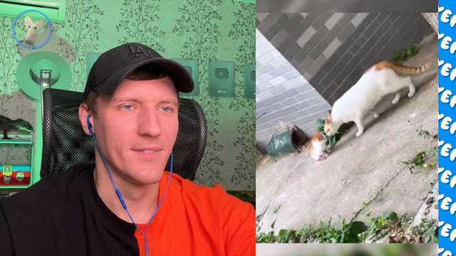 ЗАСМЕЯЛСЯ-ПРОИГРАЛ