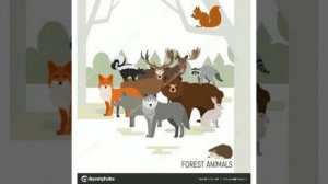 Нос орган обоняния