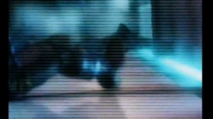 Tekken 4 Intro (HQ)