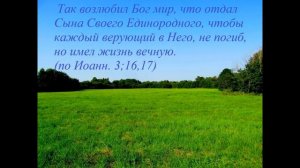 Любовь сошла с небес на крест кровавый