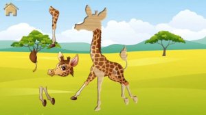 Savanna Animals | kids’ puzzles |funny animals |