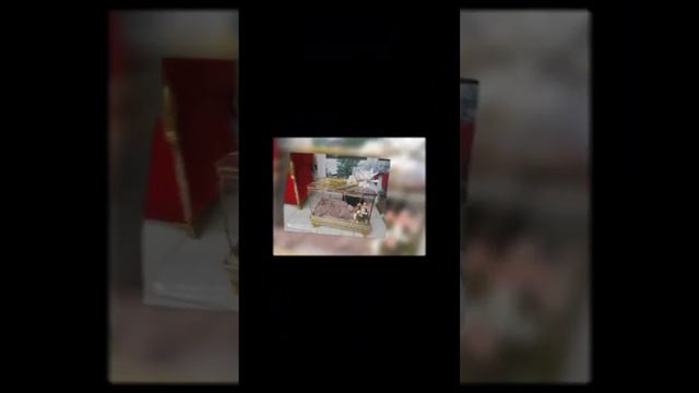 #SARPO SANDIQ#TAKLIFNOMA#OFARMLENIYA#TO'Y XIZMATLARI BARCHASI MAVJUD MART APREL OYIGA 10%CHEGIRMA смотреть онлайн