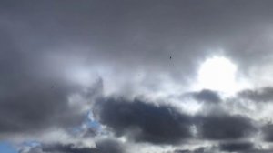 Моя Россия 🇷🇺