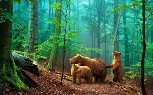 Экхарт Толле - Сила момента сейчас