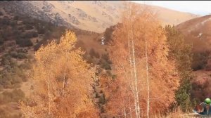 +Николай Чудотворец.Александр Старостенко.