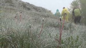 Туристические песни.  Песни у костра.  Вальс в ритме дождя.