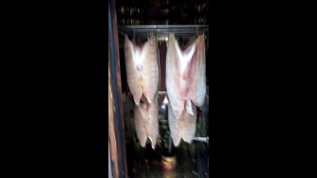 Копчение халявной рыбы, карась, щука. Коптильня Коптисам. Холодное копчение рыбы в домашних условия