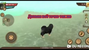 баги в дог сим
