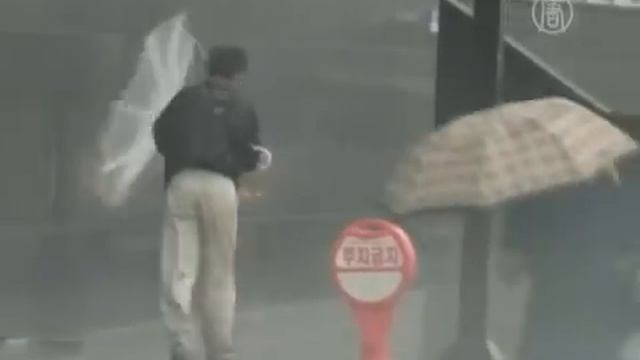 Тайфун «Санба» прошел по Южной Корее и достиг РФ смотреть онлайн