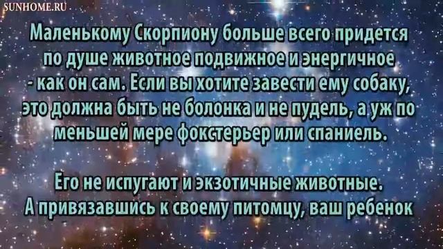 Ребенок Скорпион. Детский гороскоп смотреть онлайн