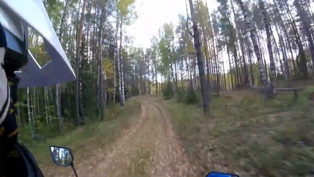 Погнул? Рентал? смотреть онлайн