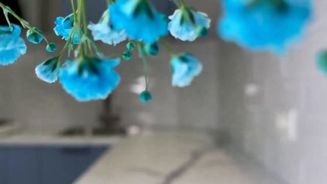 Кухонный гарнитур «Квадро» Компания «ДСВ Мебель» смотреть онлайн