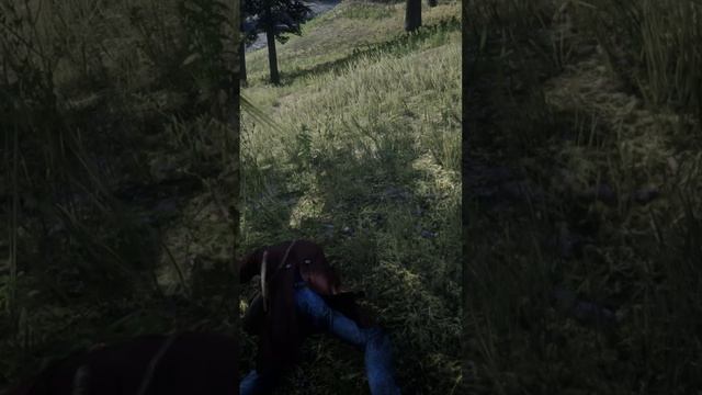 RDR 2 The deer hit me with its horns