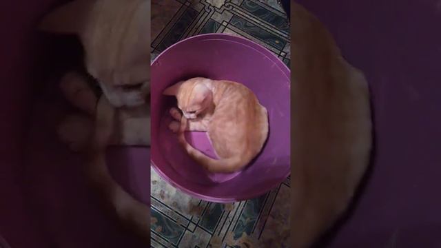 По часовой стрелке интереснее. смотреть онлайн