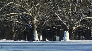 "МЕДЛЕННО и БОЛЕЗНЕННО"... (Фото Вл. Шошина (г. Владимир) - Berdien Stenberg (флейта, Голландия)