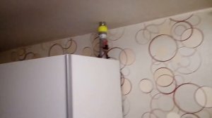 Тест вибродинамик с помощью программы для него!!!