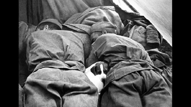 Когда пройдёшь путём колонн [песня на стих Твардовского] смотреть онлайн