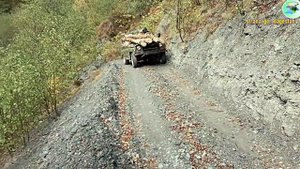 Заготовка дров на зиму высоко в горах Harvesting firewood for the winter high in the mountains