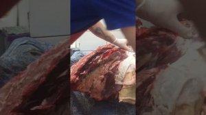 Говяжья вырезка