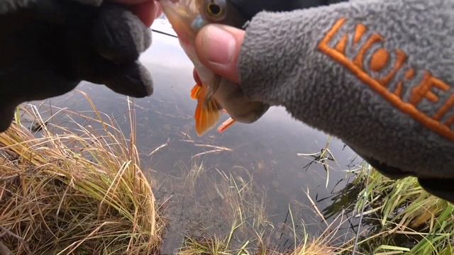 Спиннинг своими руками для мормышинга.