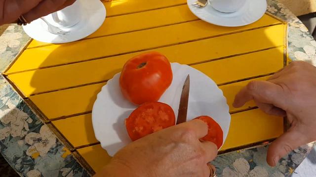 ТОМАТ МОНГОЛЬСКИЙ КАРЛИК. ДЕГУСТАЦИЯ. смотреть онлайн