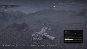 Assassin's Creed Вальгалла DLC ГНЕВ ДРУИДОВ - Карта Сокровищ : Дублин .