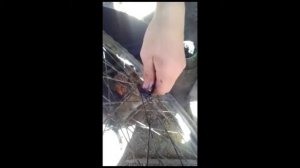 Сборка переднего колеса велосипеда