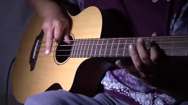 Breedlove AJB-250 bass plugged! смотреть онлайн