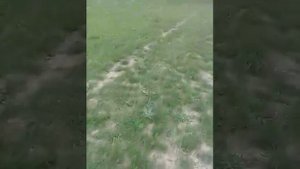 Идём на озеро, ловим маленькую рыбу