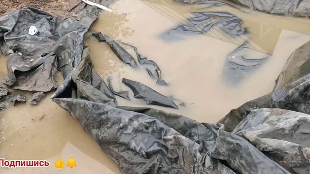 Засыпаю пруд песком и землей, пересадил рыбу в отстойник, ответы на вопросы. Разведение Карпов кои.