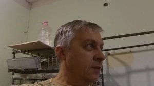 Мои перепела