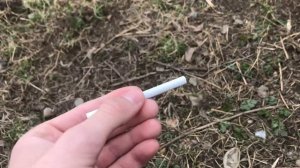 Обзор на NZ Safari ms