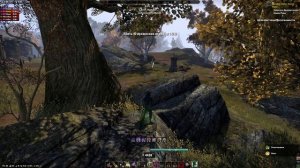 The Elder Scrolls online  Cyrodiil fan (Iwart nightblade stamina Archer)