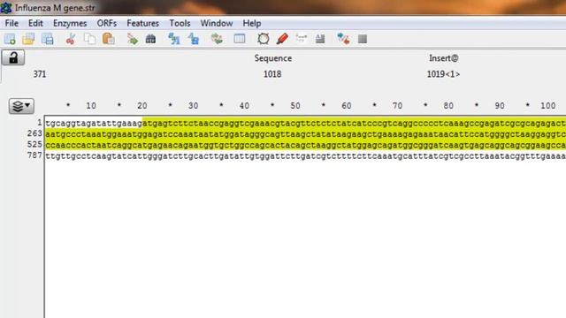 Tutorial 7: How to use ApE (Free DNA editing program) Part 2 [ORFs and Features]