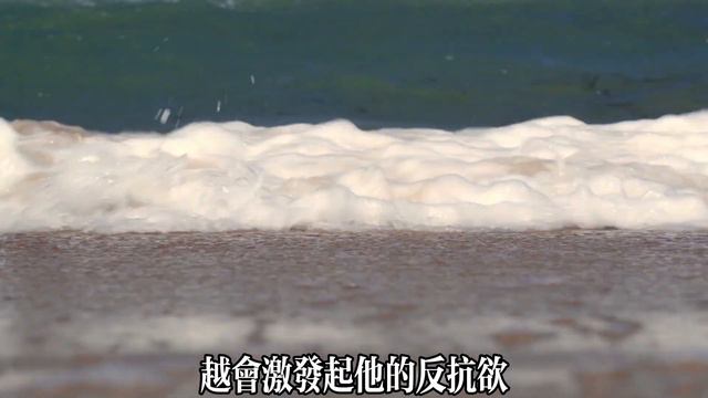 【乐厨怡妈】不同情他人的命運，不介入他人的因果！